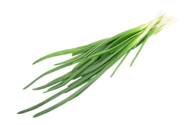 Chives 25G