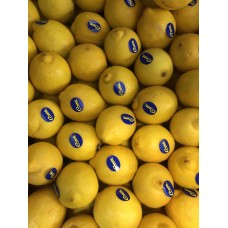 Lemons X1