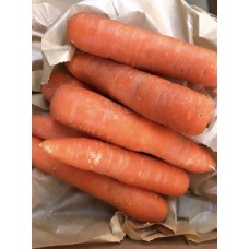 Organic Carrots 1KG