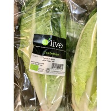Organic Cos Lettuce X1
