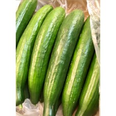 Organic Large Cucumber X1