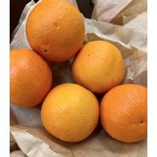 Organic Medium Oranges X5