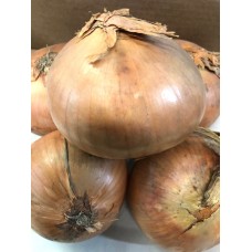 Organic Onions 1KG