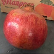Pomegranate X1