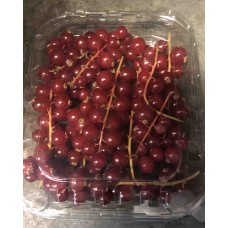 Red Currants punnet