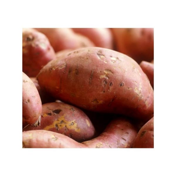 Sweet Potato 1KG