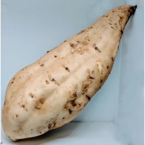 White sweet Potatoes 1400x